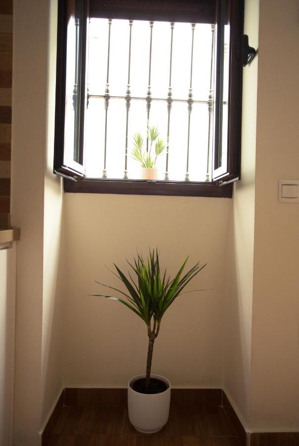 Apartamento Entrecaminos Setenil De Las Bodegas 외부 사진